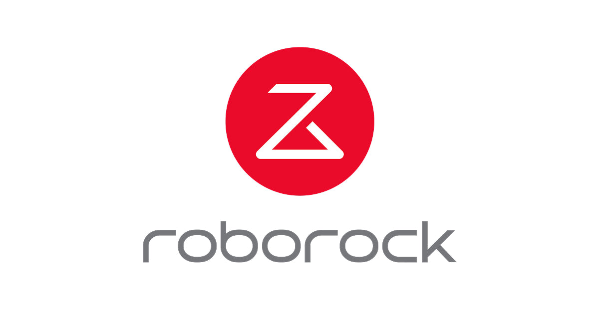 DE Roborock Review
