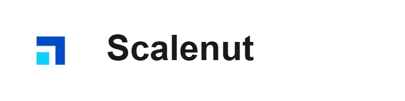 Scalenut Review